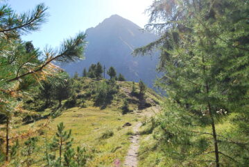 L’arrivo al Col Plan Fenetre, 2221 m