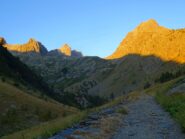 Mattina dal grande larice