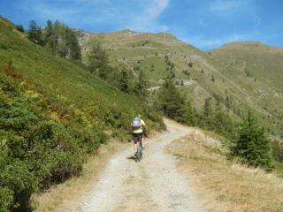 su sterrato dopo il bivio per il Rifugio Barbara Lowrie