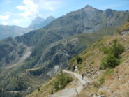 ultimi tornanti verso il Col Barant