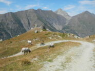 discesa panoramica.....