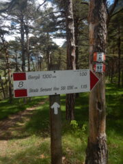 Direzione Bergà