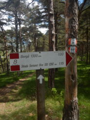 Direzione Bergà
