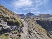 Il vallone del Grauson parte alta