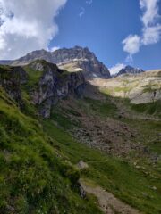 Ferdenrothorn 