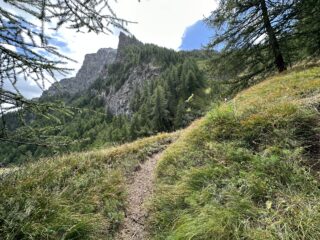 l'unico tratto interessante 