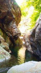 Caratteristici tratti inforrati