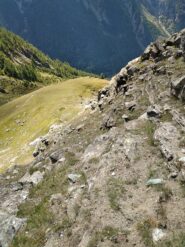 Vecchio sentiero sopra Bocconiere damon