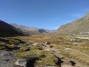 Il piano del Nivolé al mattino, il far west valdostano!