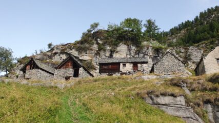 Suzzo sotto