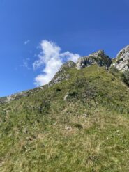 Ultimo tratto di prato prima di incrociare lo scheletro di albero e la roccia