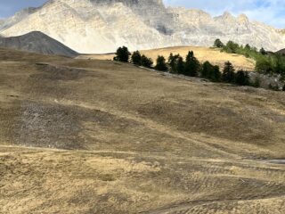 Prato molto consumato probabilmente dal transito di greggi