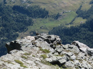 la croce di vetta vista dal crestone superiore