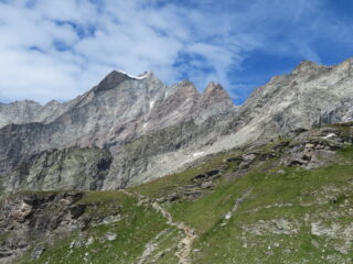dal rifugio verso la dent d'Herens