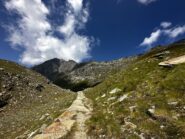 Lunga mulattiera da percorrere che porta a colle Pontonet