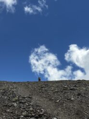 In prossimità della cima