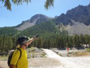 il bosco entro cui si snoda la discesa dal Col du Cros