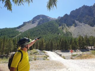 il bosco entro cui si snoda la discesa dal Col du Cros
