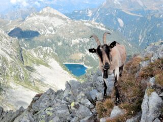 Lago di Larecchio