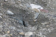 Voragini nella pietraia
