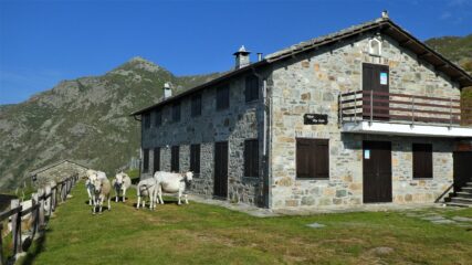 Comitato di accoglienza della nuova gestione del rifugio Alpe Soglia