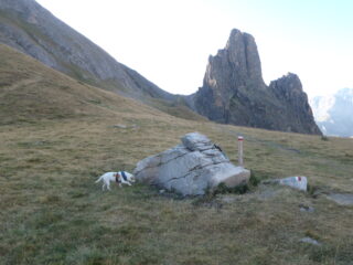 Salendo verso il colle Greguri
