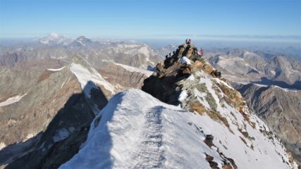 vetta svizzera