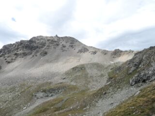 Sirwoltehorn