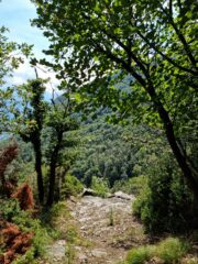lungo il sentiero di salita