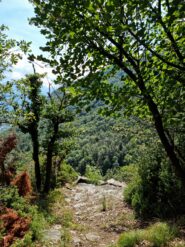lungo il sentiero di salita