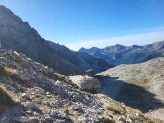 In effetti qualcuno c'era 