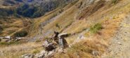 Quasi al passo