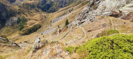 Non una semplice strada...