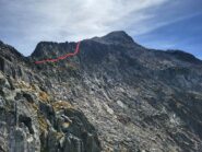 Il canarino della normale