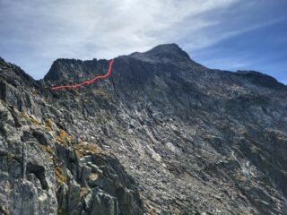 Il canarino della normale