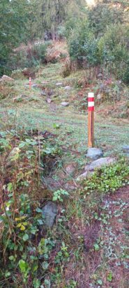 217 nel tratto Frè alpe Comba