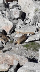 lei qui e' di casa..