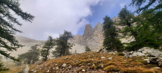 Emersione dalla nebbia