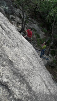 falesisti in azione..