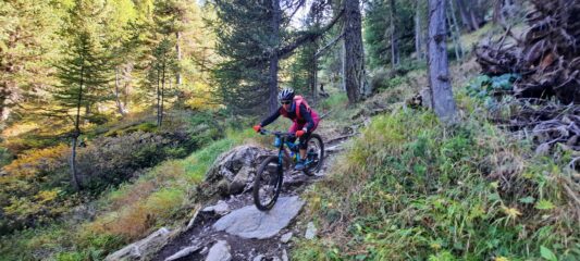 Passaggi più tecnici nel bosco