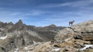 Vista dietro il colle