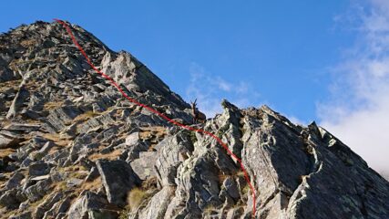 Ultimo tratto di cresta