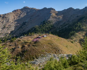 Alpeggio Piccola Bella Lana