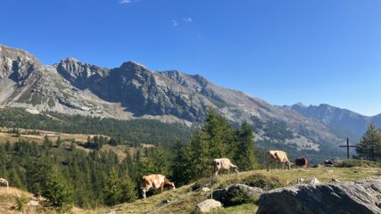 Panorama dal rif. Gattascosa