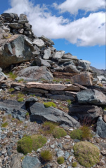 Una scaletta che fu?