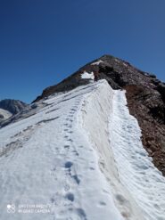 la breve testata del ghiacciaio da attraversare prima degli ultimi passi per la vetta.