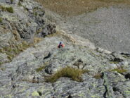 Marco sulle placche di L2