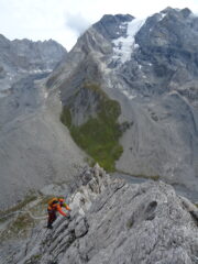 Primi rateau de chevre