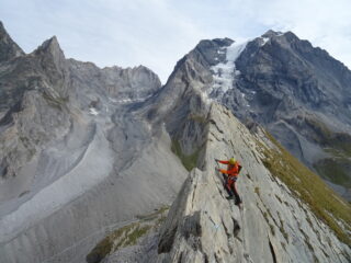 Estetico e panoramico