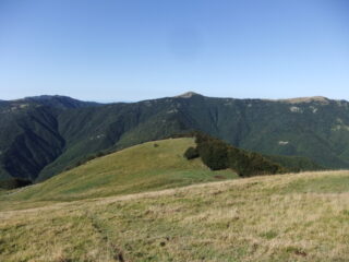 La dorsale percorsa , vista dal Monte Busasca